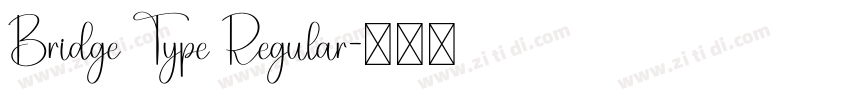 Bridge Type Regular字体转换